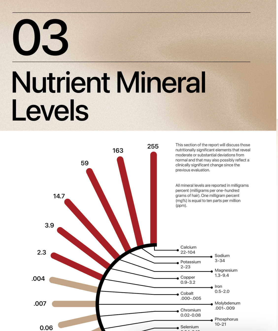 Meet Your Mineral Archetype